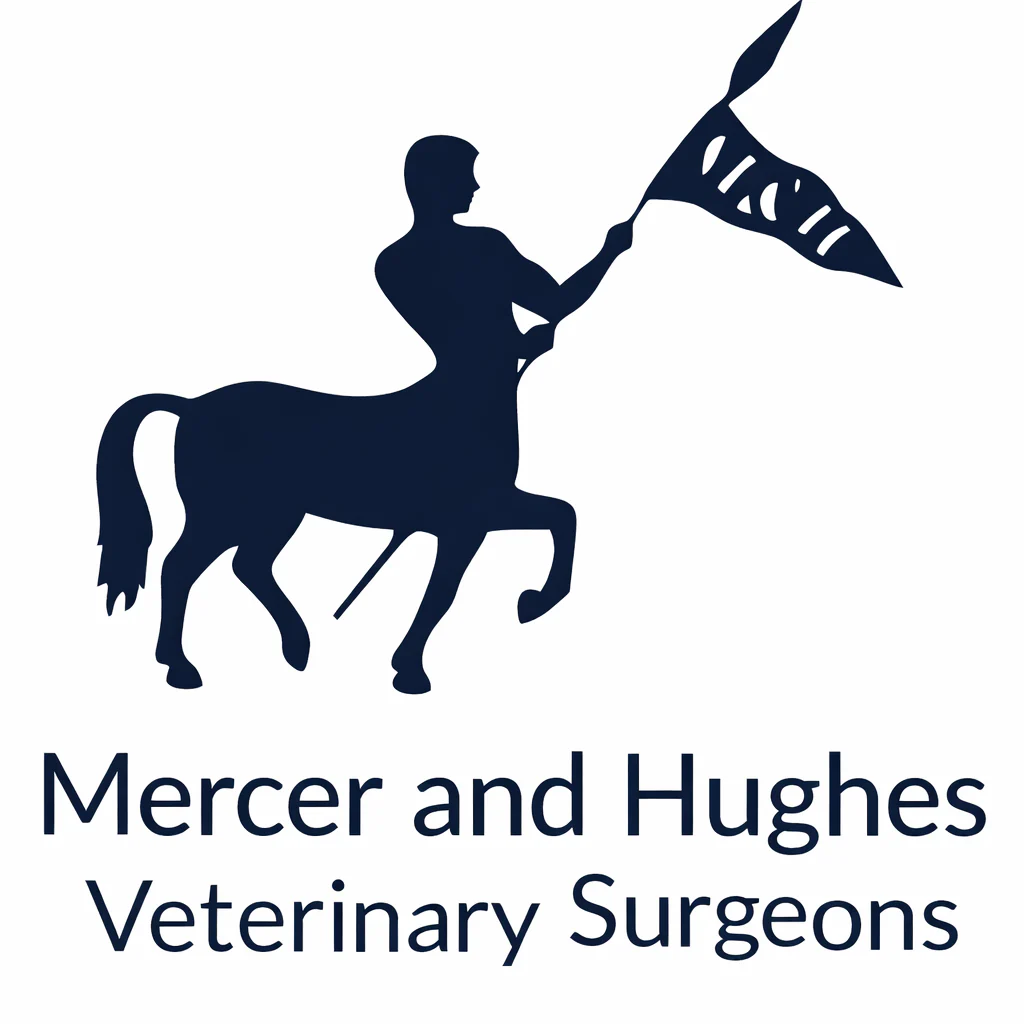 Mercer & Hughes logo